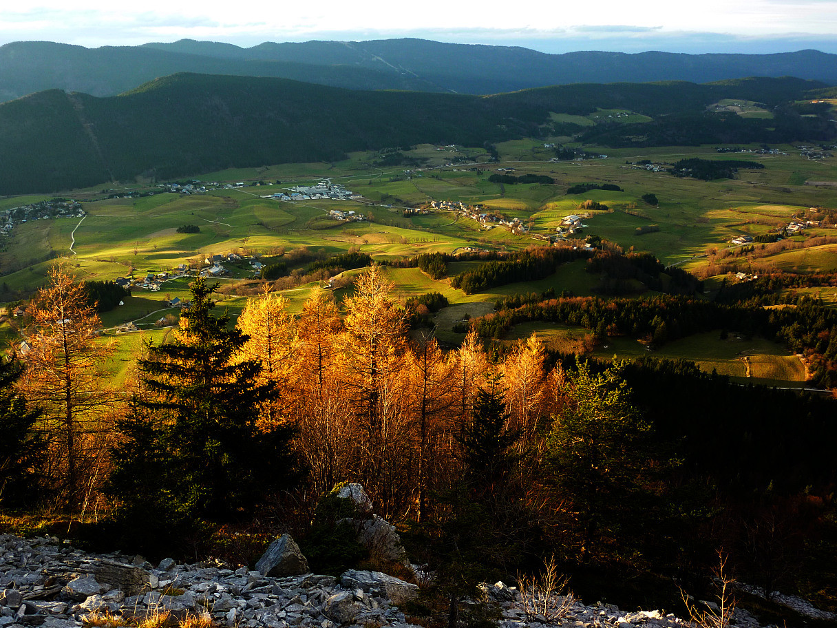 Mélèzes flamboyant du Vercors