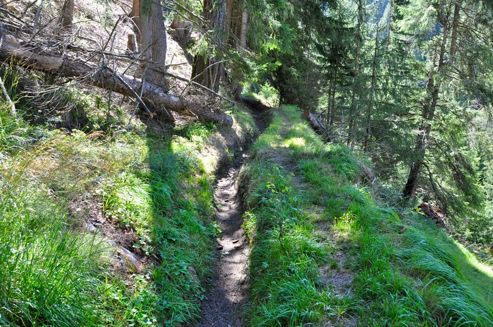 Waldwasser