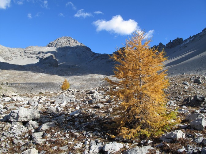 L'automne dans toute sa magnificence