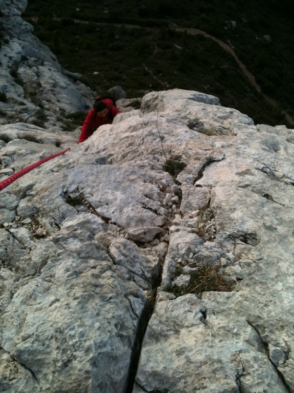 dans L2