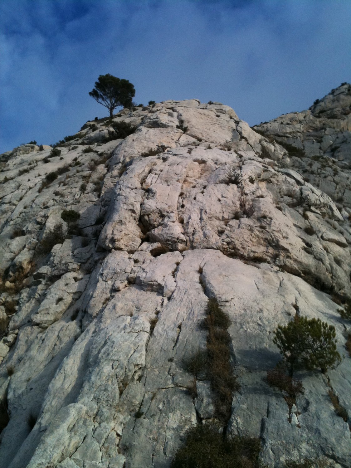 vue de L5
