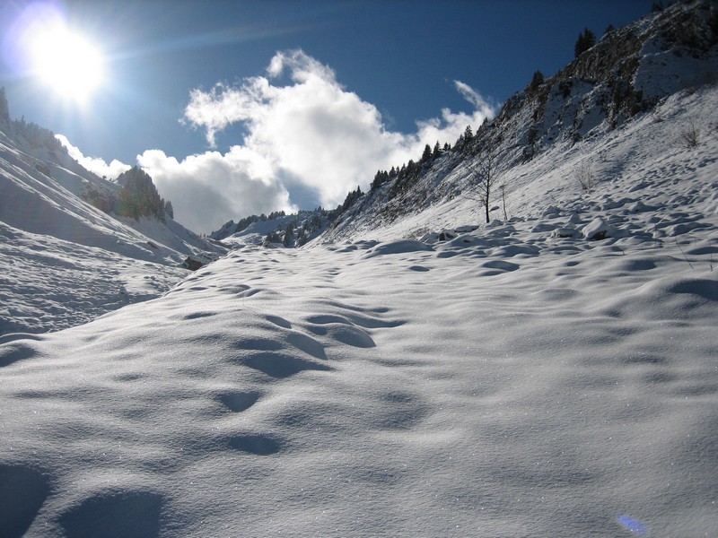 Vallon du Cruet