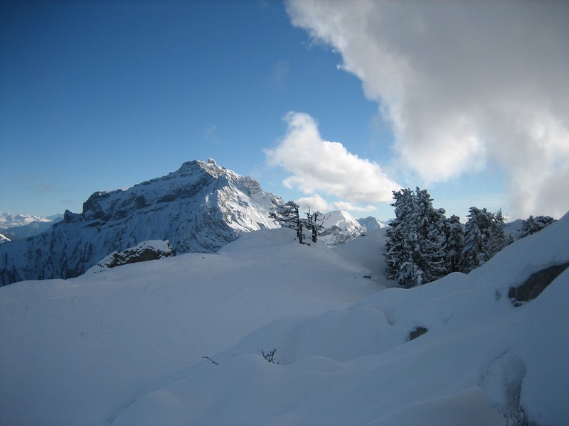 Tournette