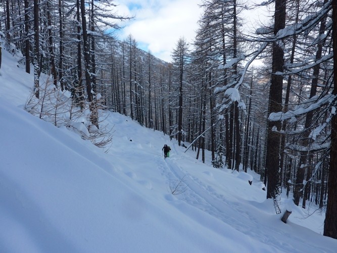 Une montée bien sympa en foret