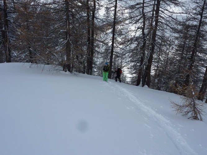 Sortie de la foret