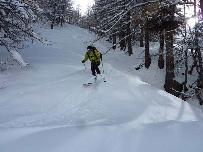 Marion en foret....