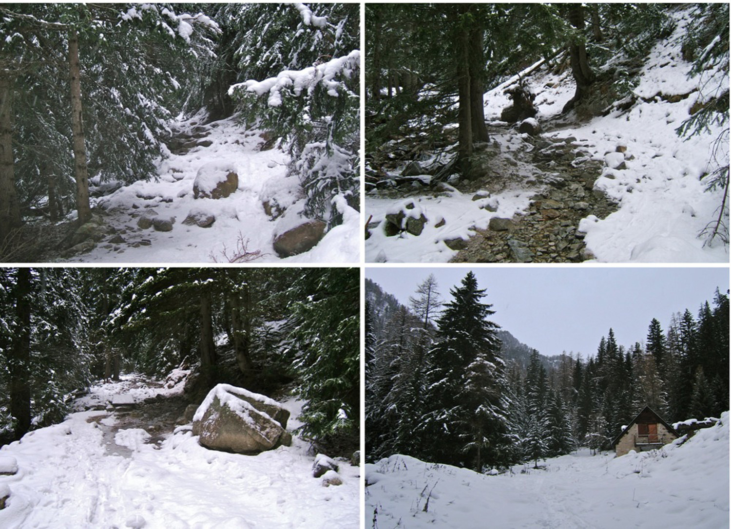Sentier montant à la Vacherie de Salèse.