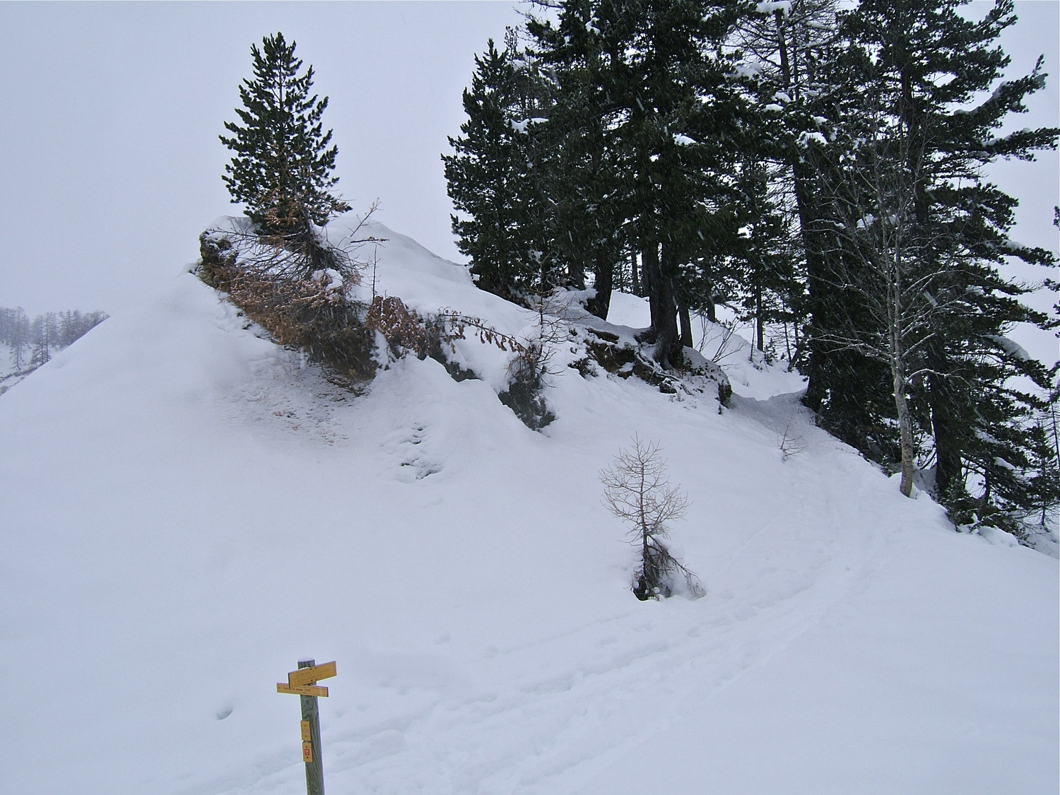 Col de Salèse.