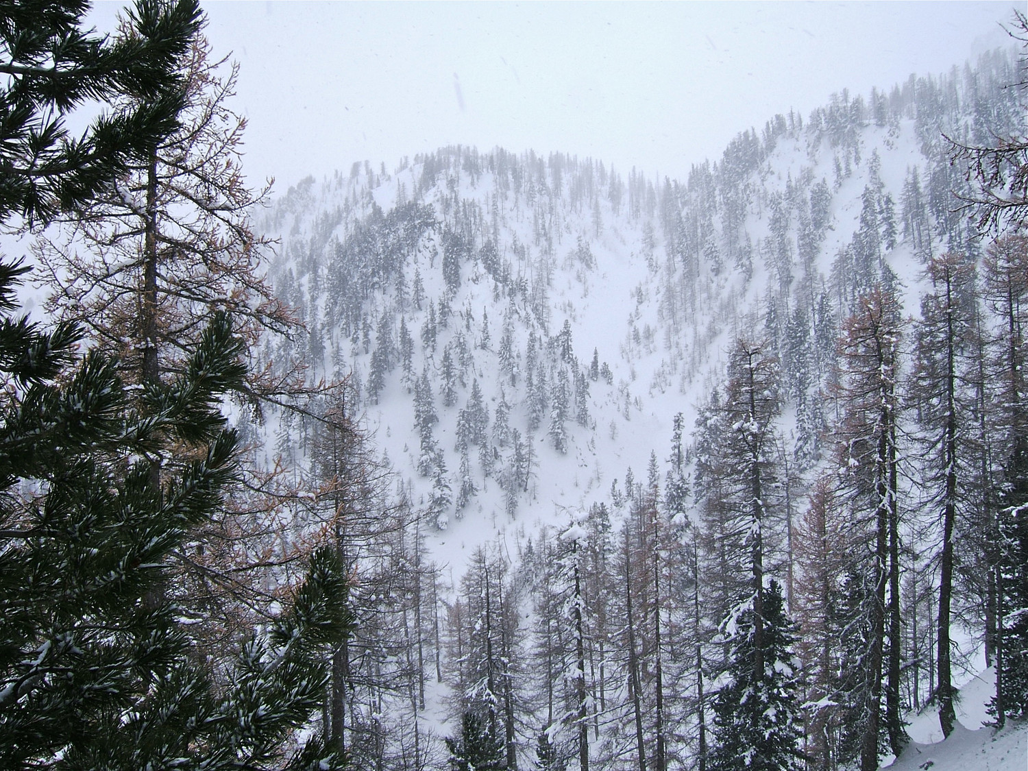 Vallon pris à le dernière descente.