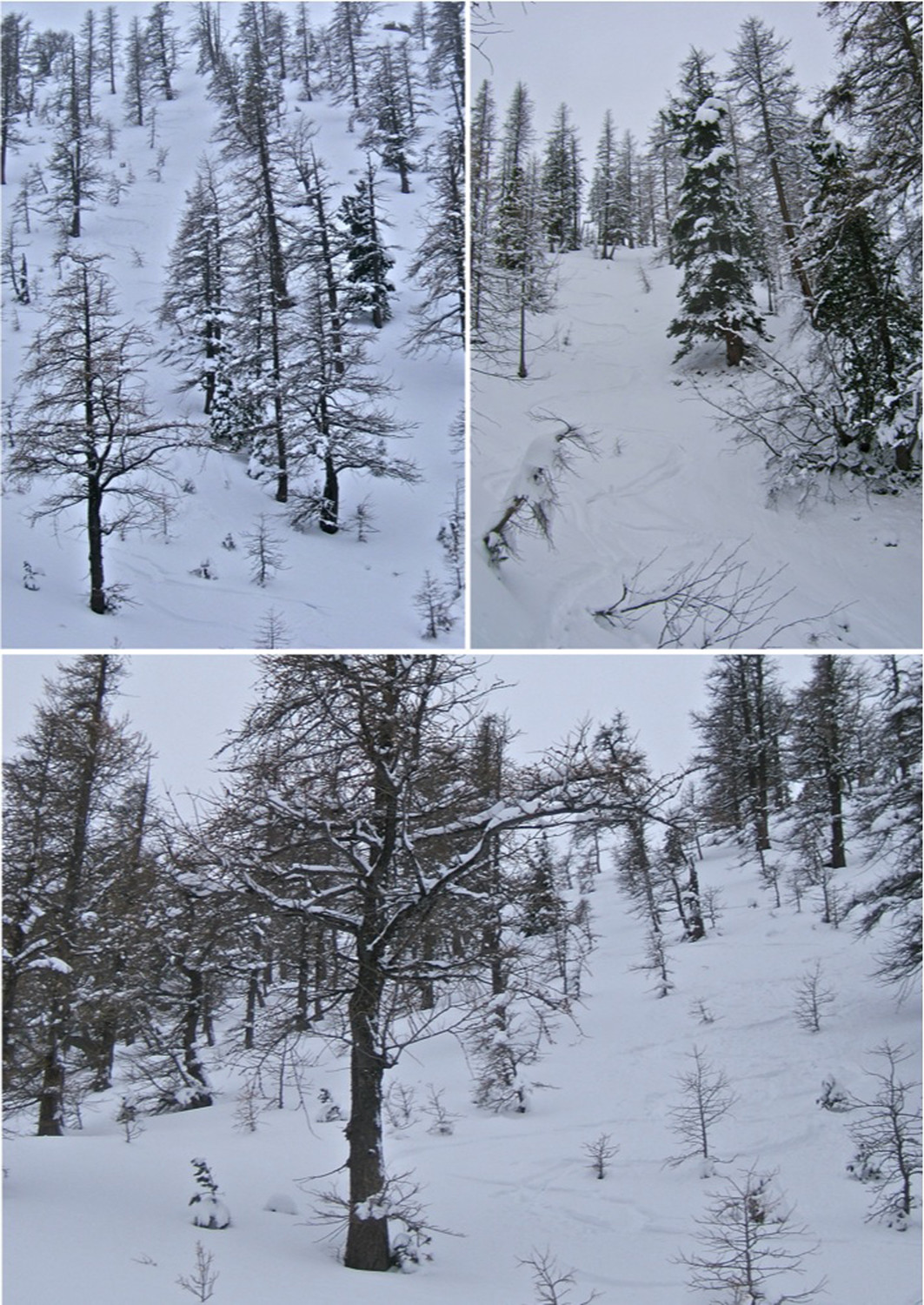 1ère descente, le top.