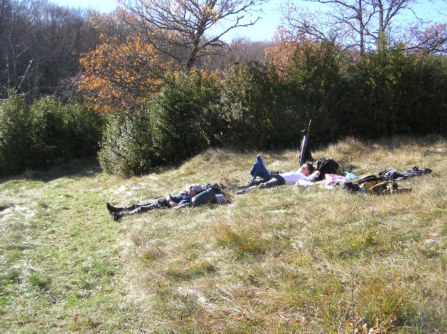 Petite sieste