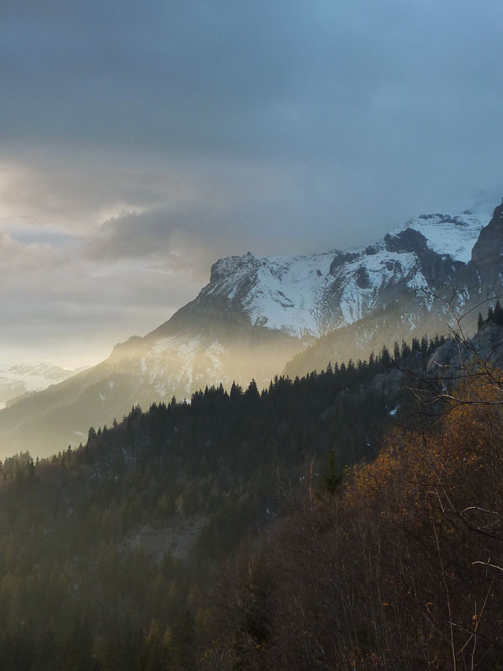 Luminosité de fin d'après midi