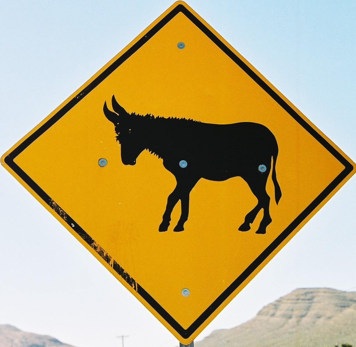 mon avatar (burro de Red Rocks)
