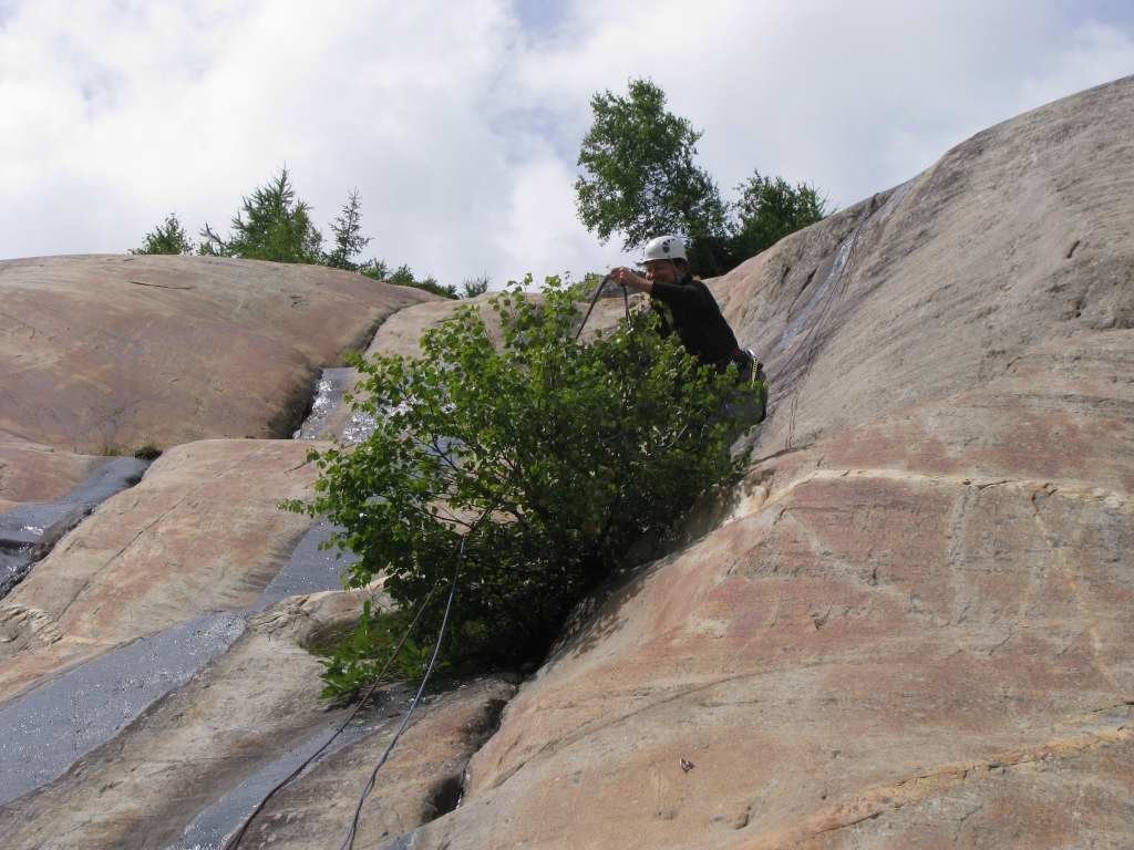 Que fait ce buisson au milieu de notre rappel ?!?
