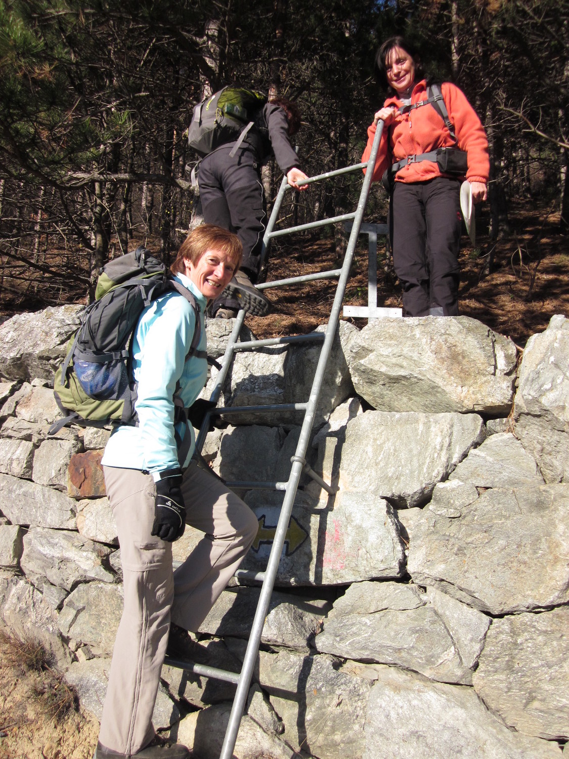 Echelle au pied du chemin de croix au-dessus de Gampel