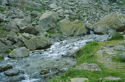 Source du Po, par omα Source du Po, par omα