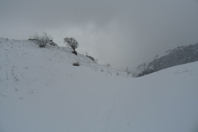 vers 1300m