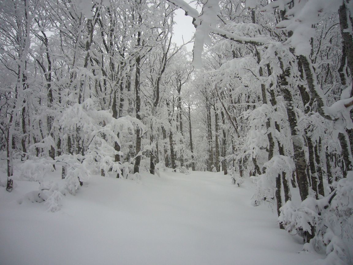 sortie de la piste