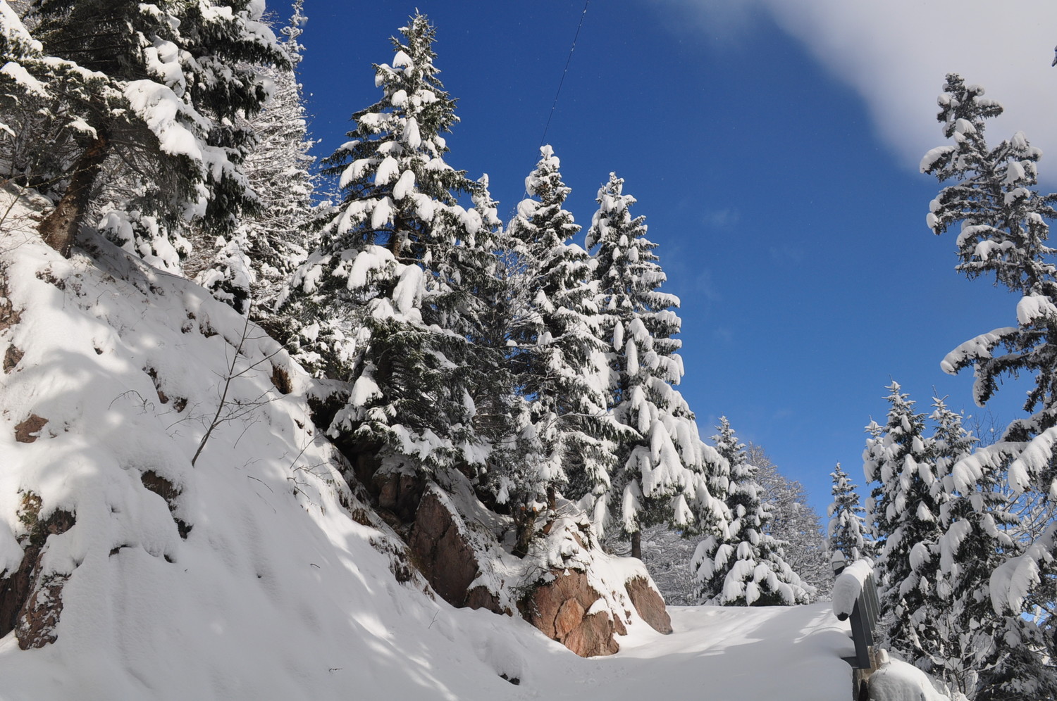 Vers 1350 m. sur la route qui mène à Tanay
