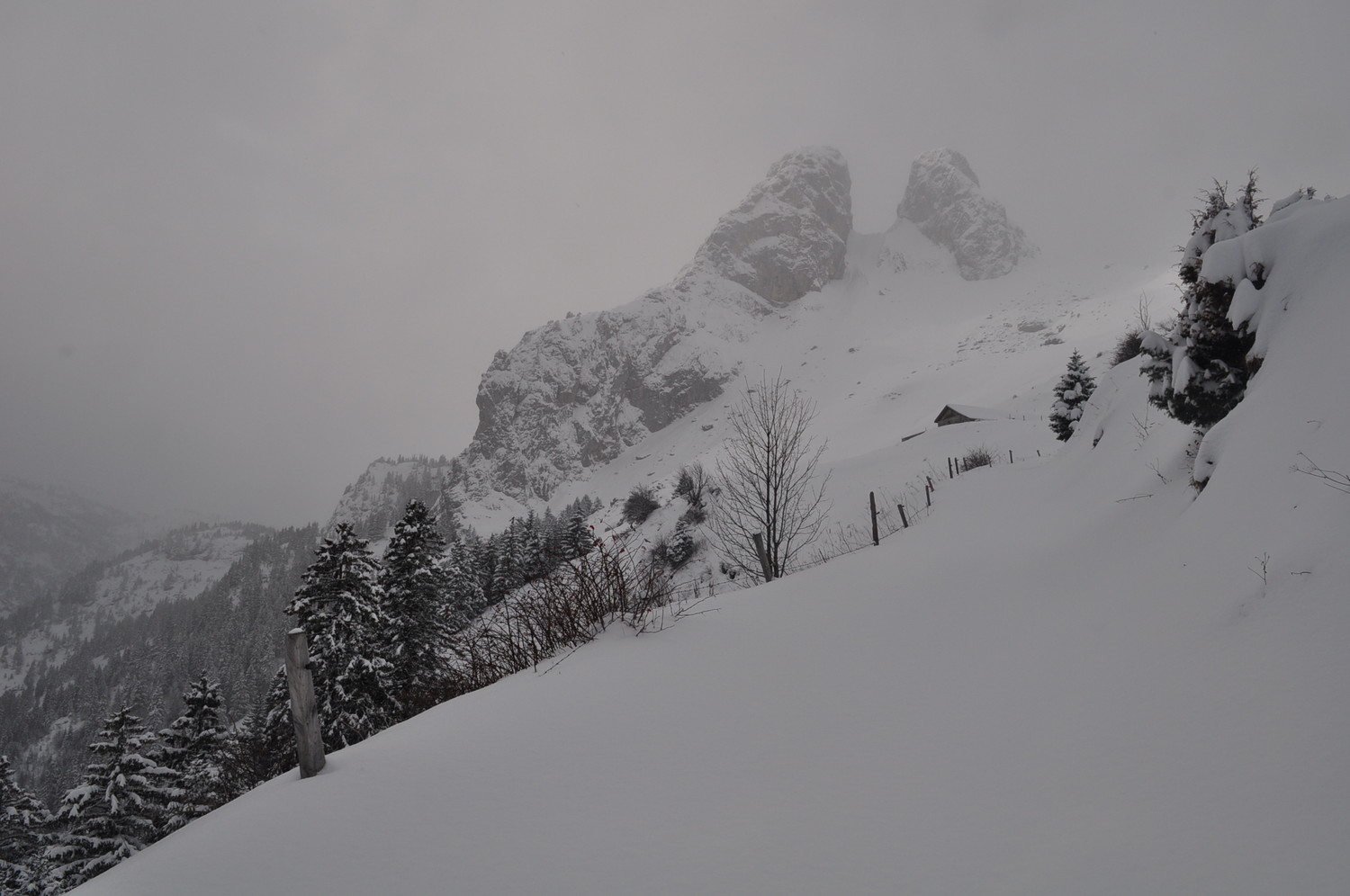 Les Jumelles.
