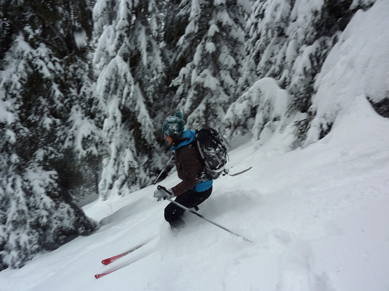 Dans la forêt versant W