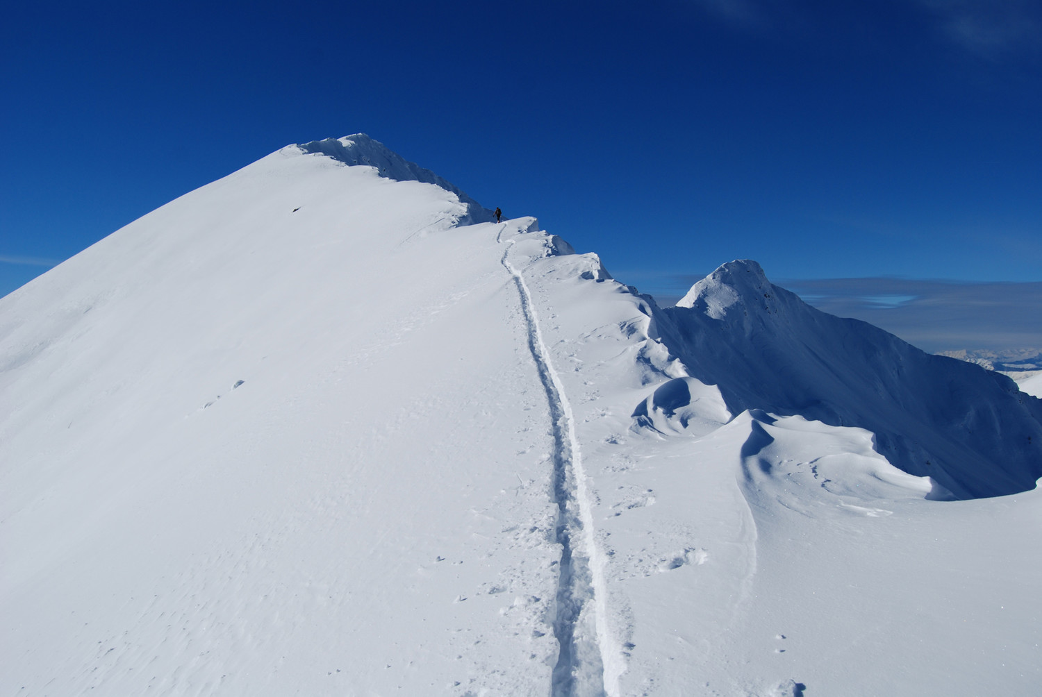 Lungo l'estetica dorsale NE del Monte Colombana.