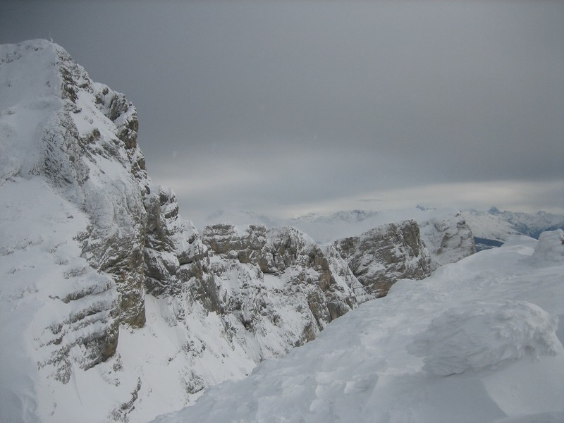 La Grande Moucherolle, si proche