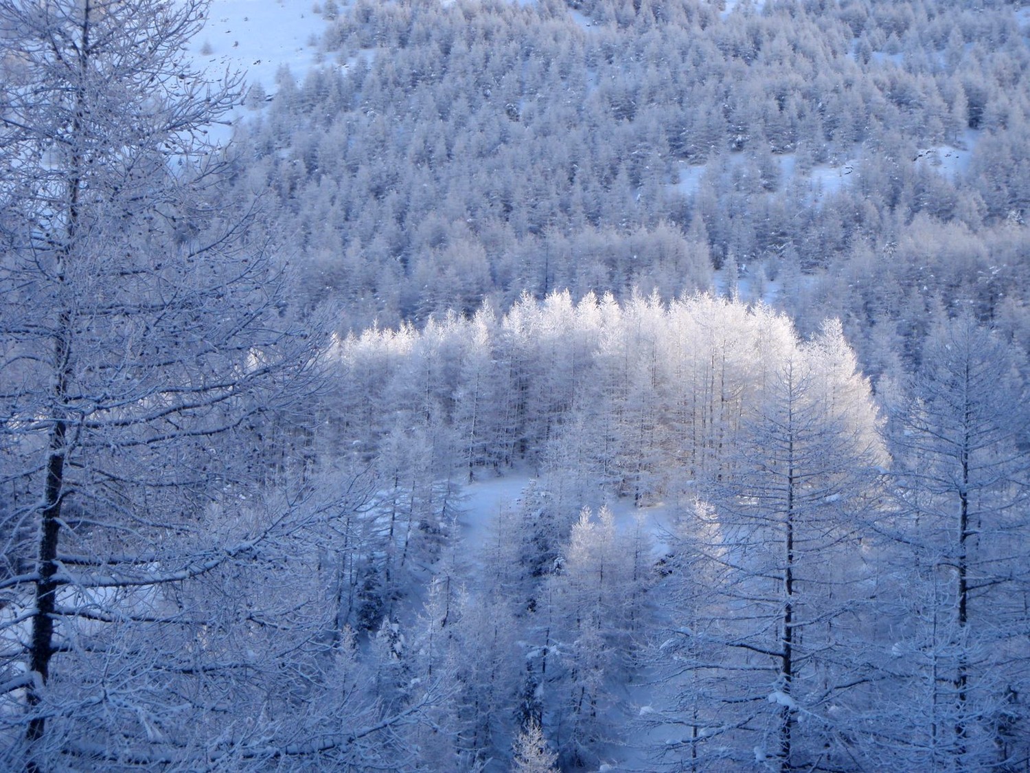 Vers Col Ane - Embrunais
