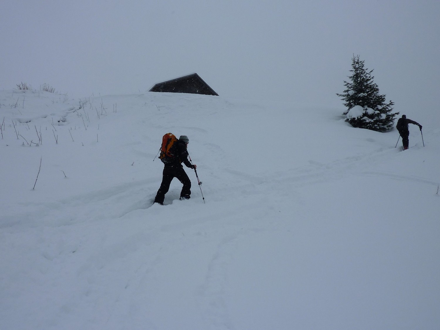 pas tant de soleil, mais de la neige
