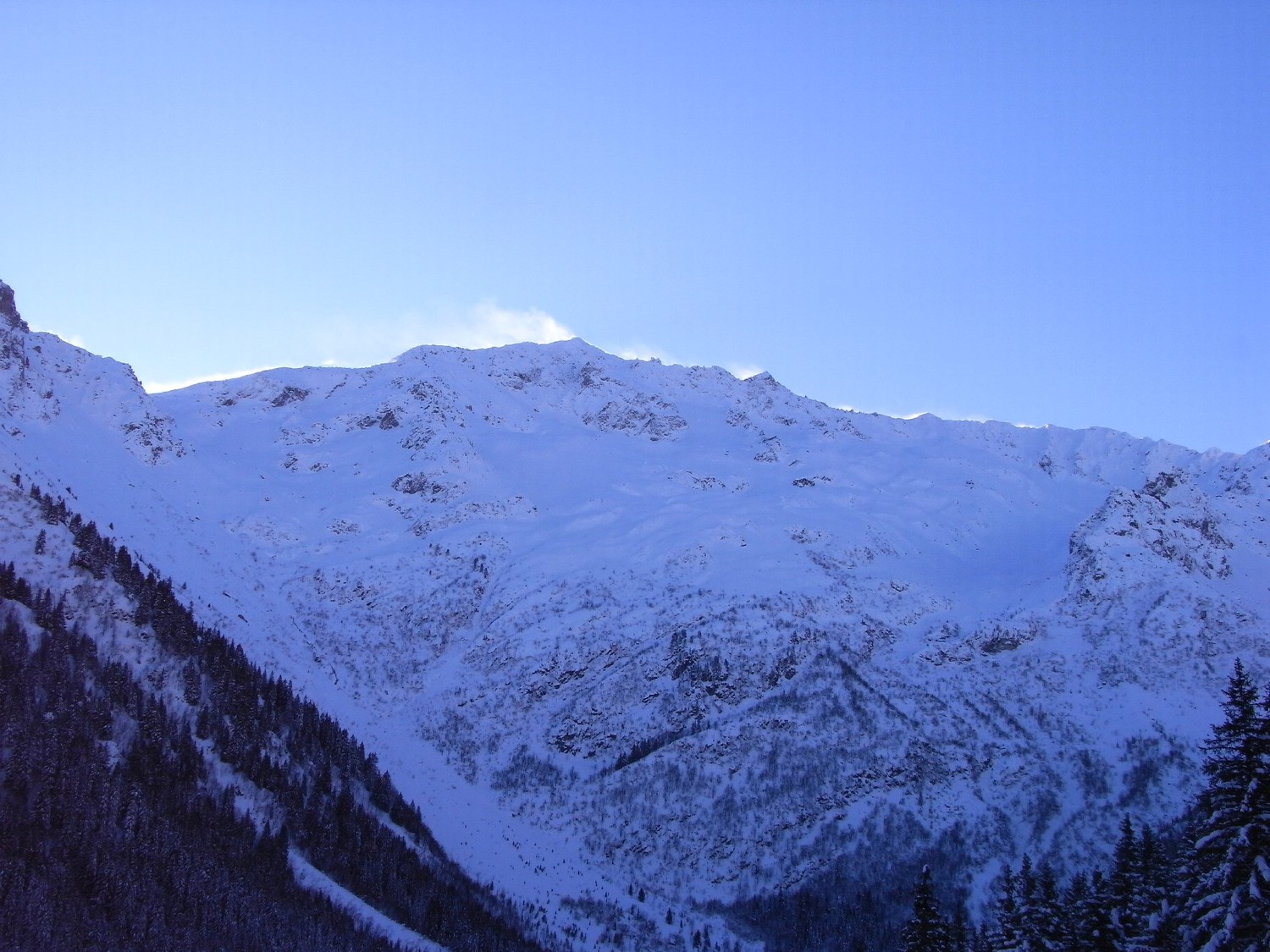 20101129