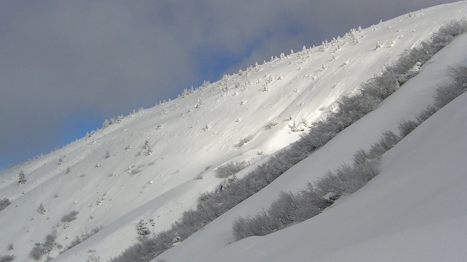 C Baulet-comme en hiver