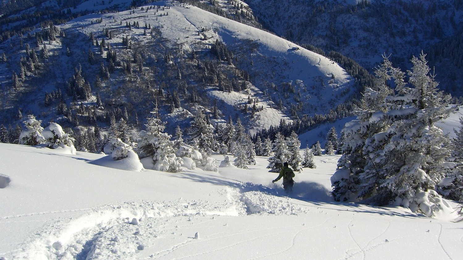 C Baulet-Trop de neige sur le petit (quoique)