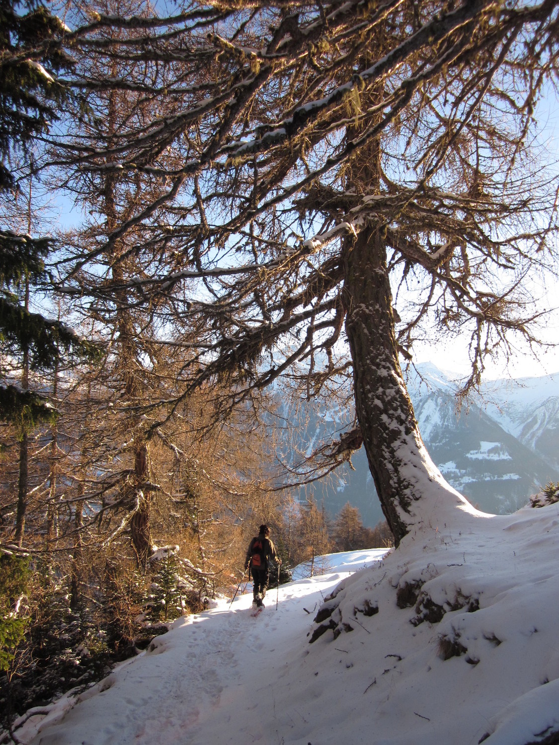 Descente