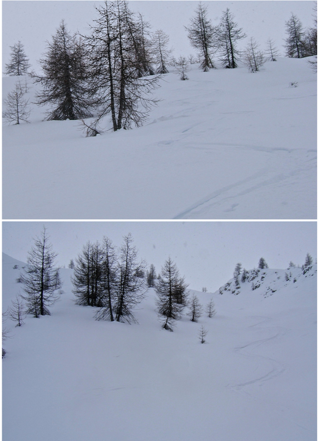 Très bonne neige en dessous du Collet 2147m.