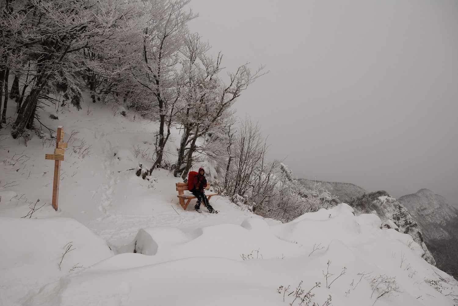 Près du sommet du Mt Baron