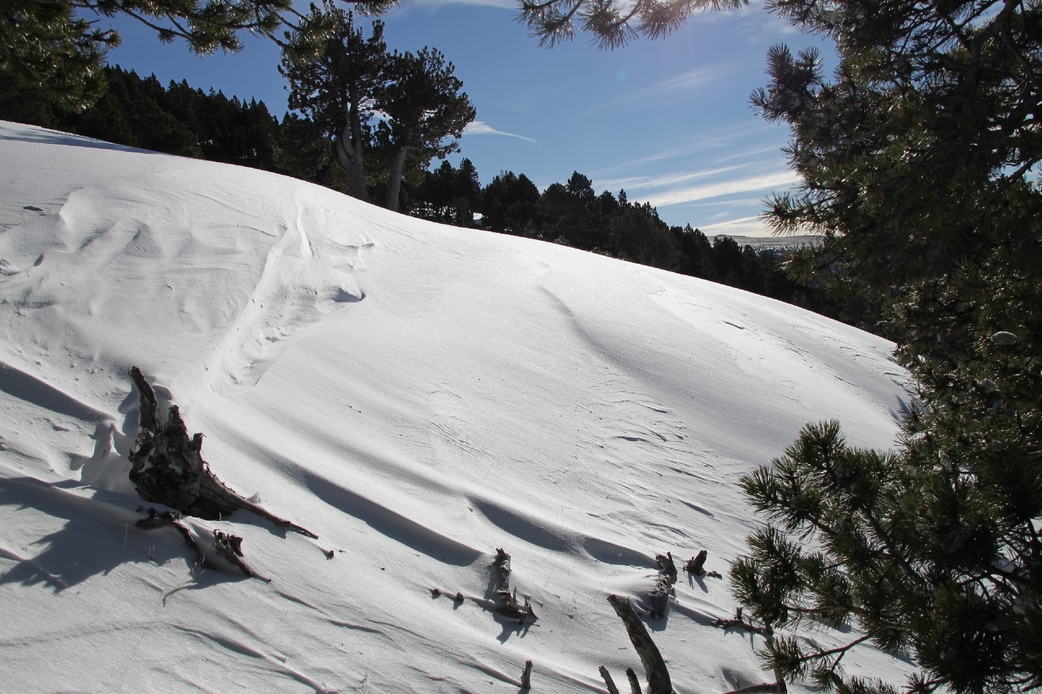 descente sur les Camporells