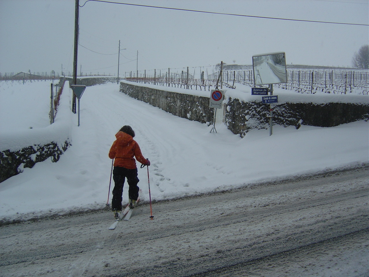 Traversée de la route d'Echichens. Le Signal est en vue.