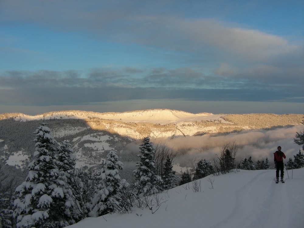 Versant E de Charande vu du Moucherotte