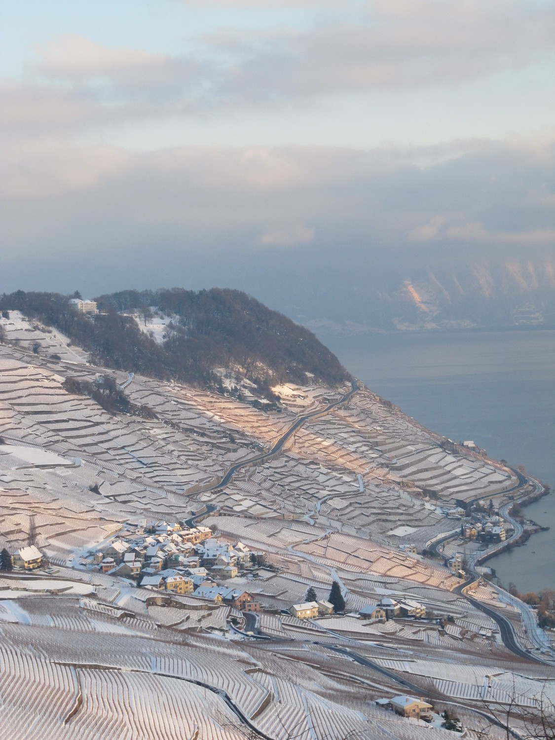 Lavaux