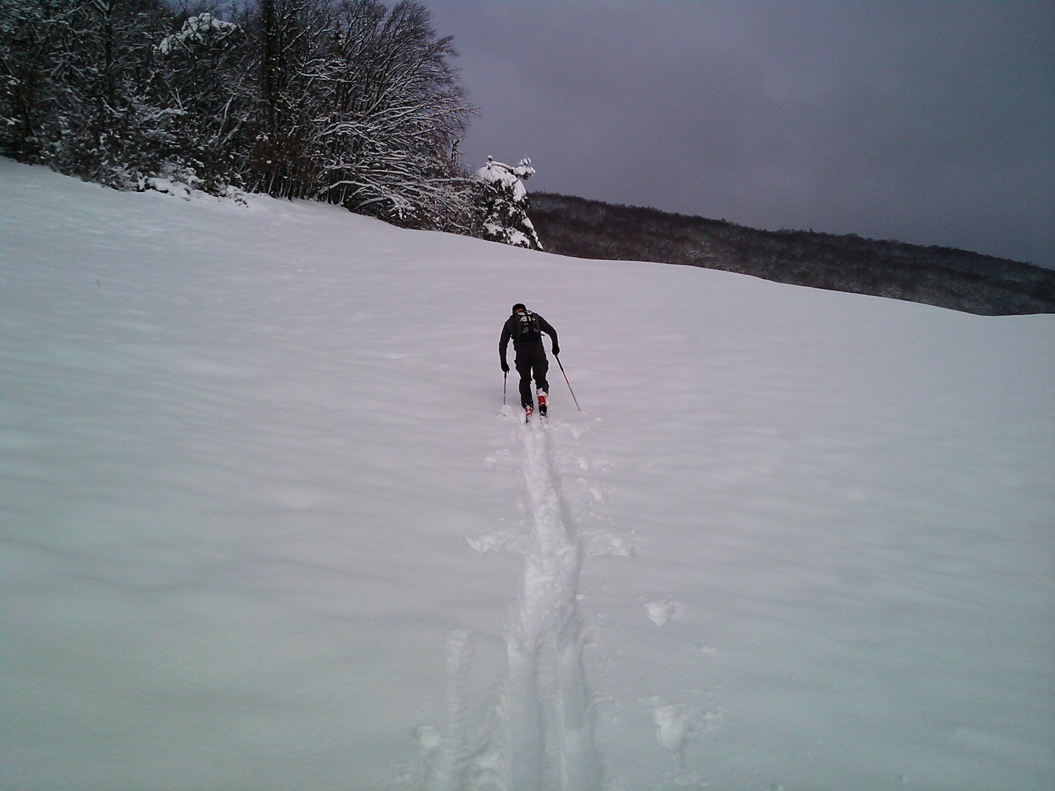 photo3