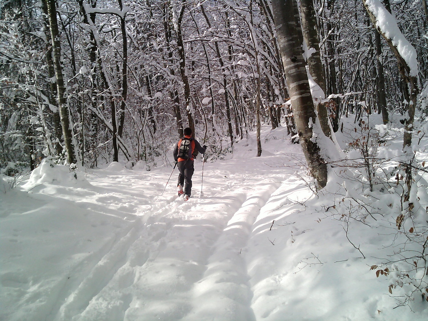 photo6