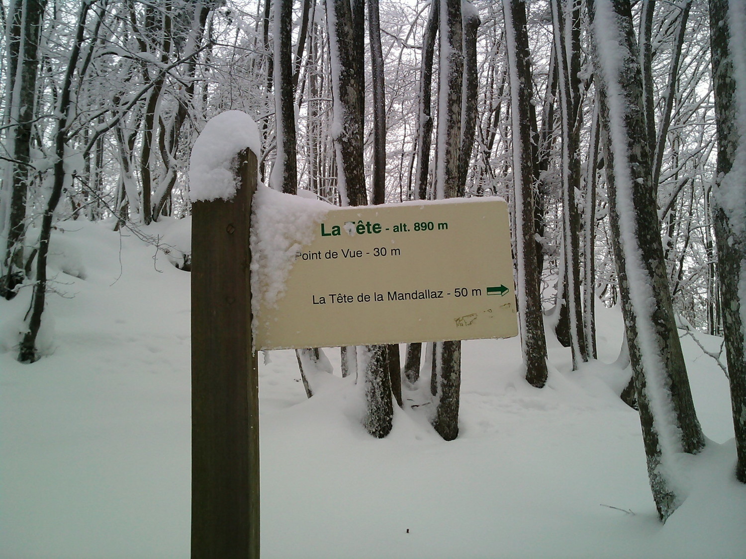 photo8