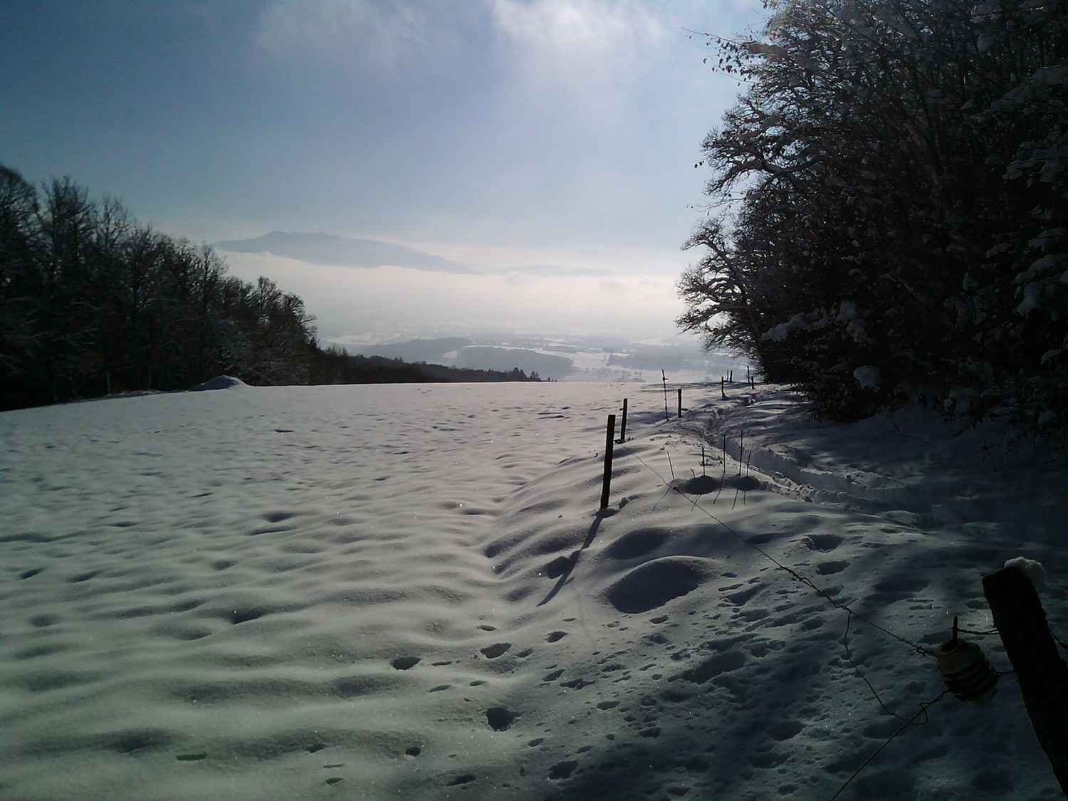 photo9