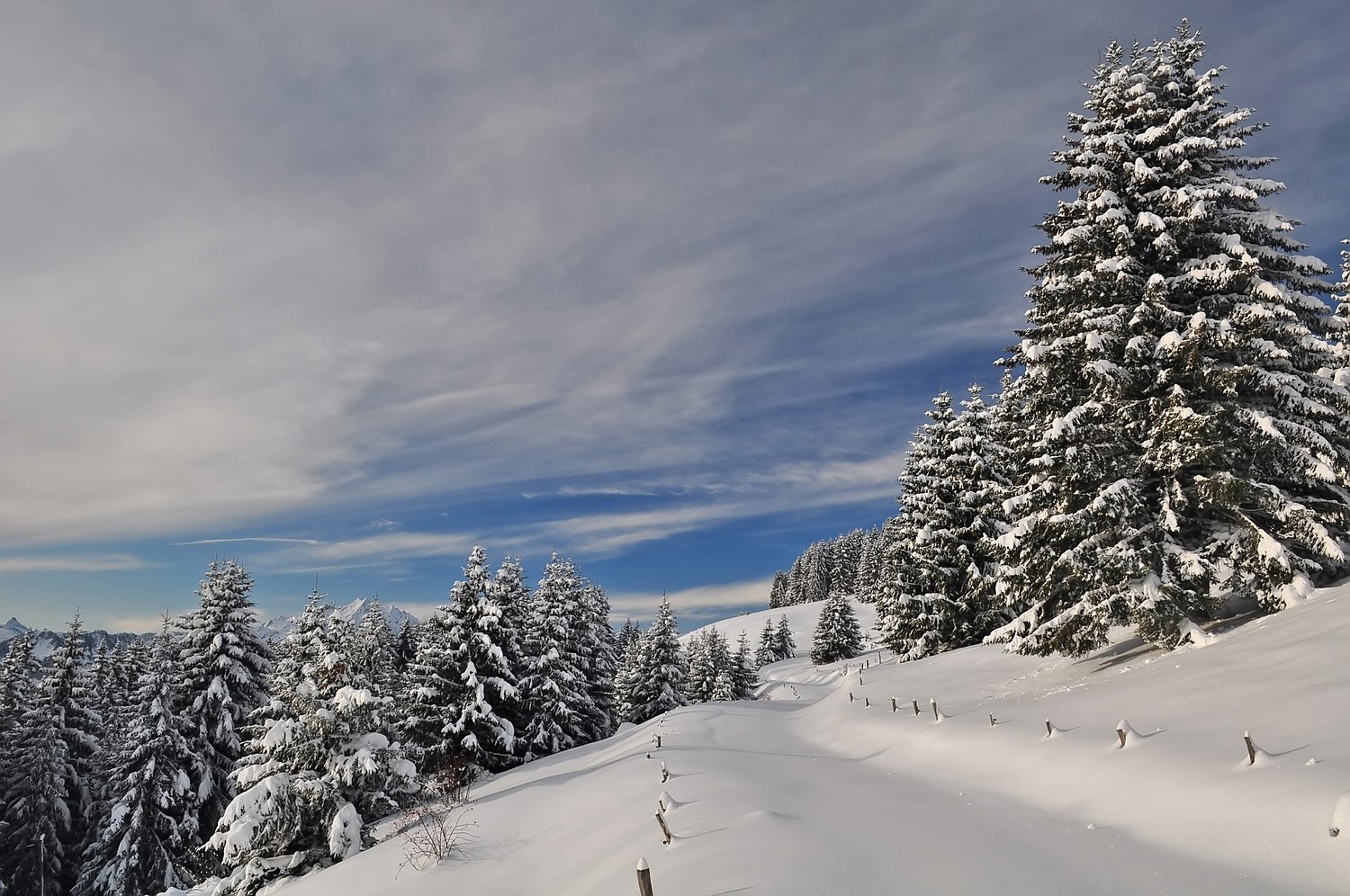 Décembre à l'Ecuelle