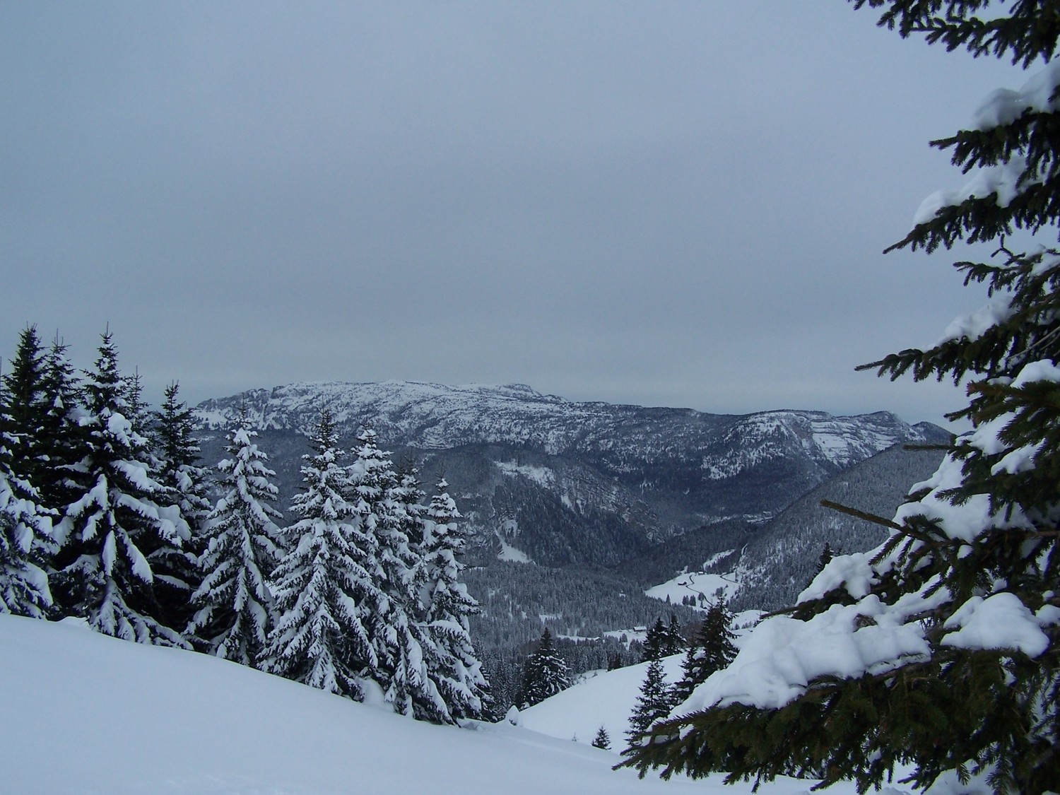 Parmelan depuis les Auges.