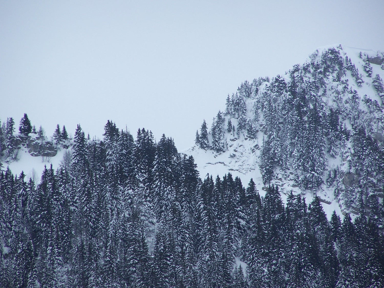 Depuis le parking ; le col des Auges est situé à peu près au centre caché par les arbres.