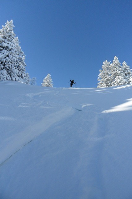 laisser parler la poudre