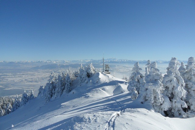 vue sur le mt Blanc