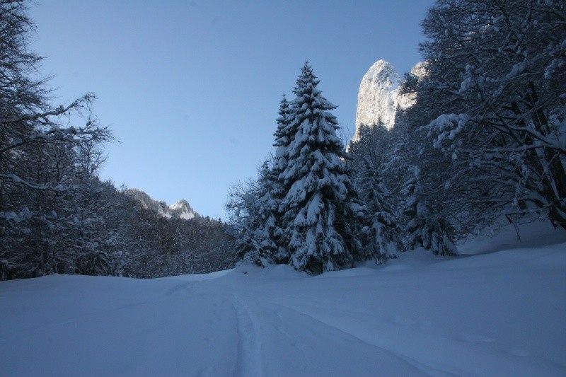 la Dent du Cruet