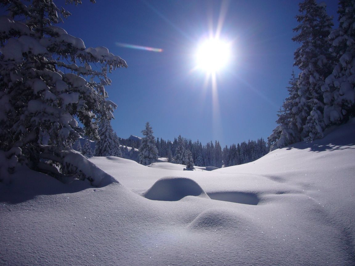 il fait beau